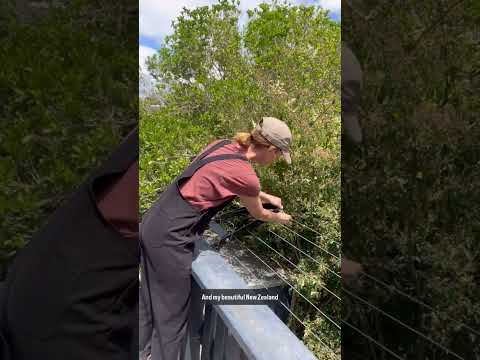 SwiftDry StreamLine 24M Clothesline (<4m x 0.6m)